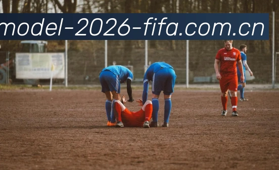 FIFA官方数据授权证书